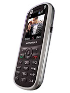 Best available price of Motorola WX288 in Old2